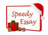 Speedy Essay image 3